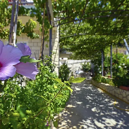 Apartment Micic