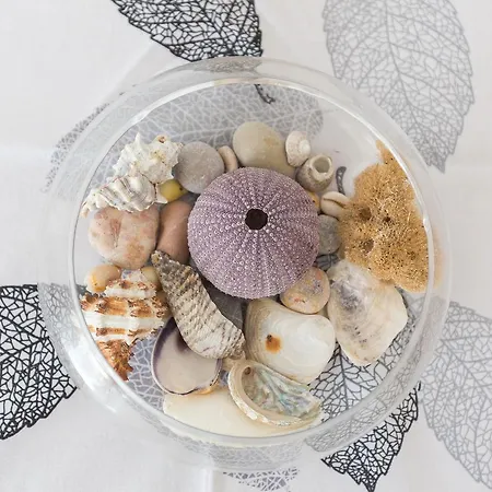 Micic شقة هفار